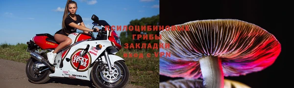 прущая мука Елизово